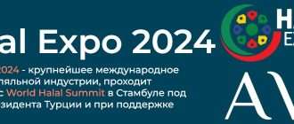 Халяль Expo 2024 в Стамбуле: новый этап в развитии индустрии халяльных продуктов и услуг